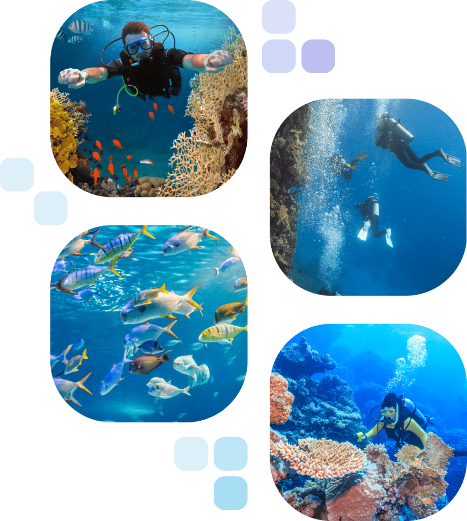 Dive İstanbul — Fotoğraf 3