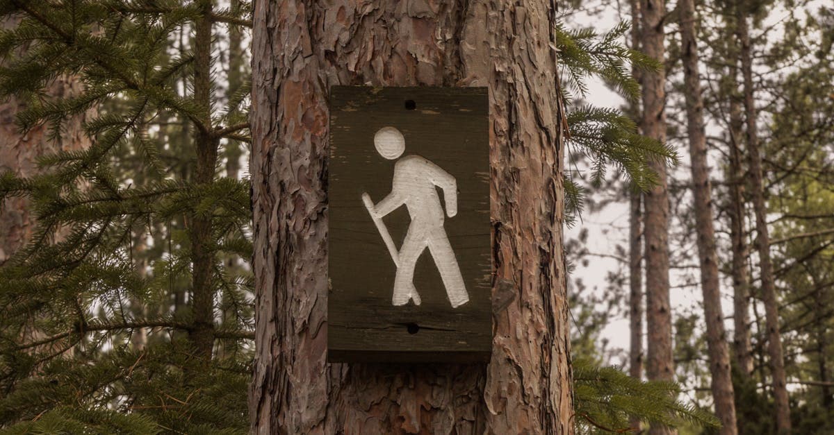 Türkiye’nin En Güzel 7 Trekking Rotası Doğaseverleri Çağırıyor!