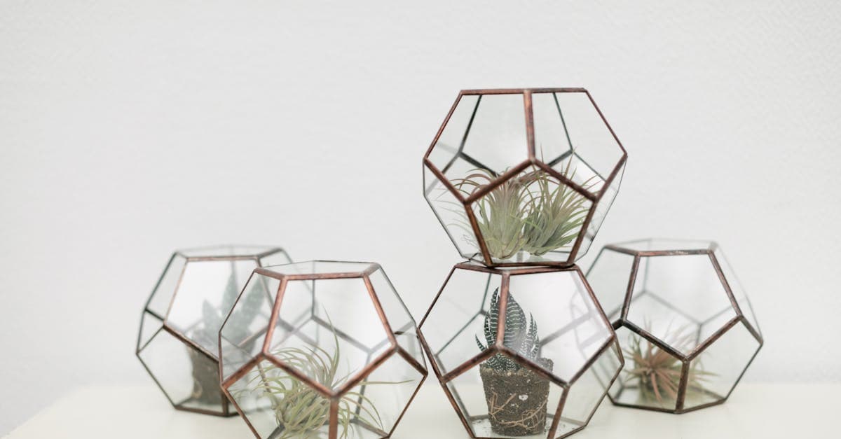 Gözde Çiçekçilik