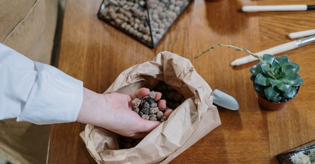 Teraryum (Terrarium) Aranjmanları