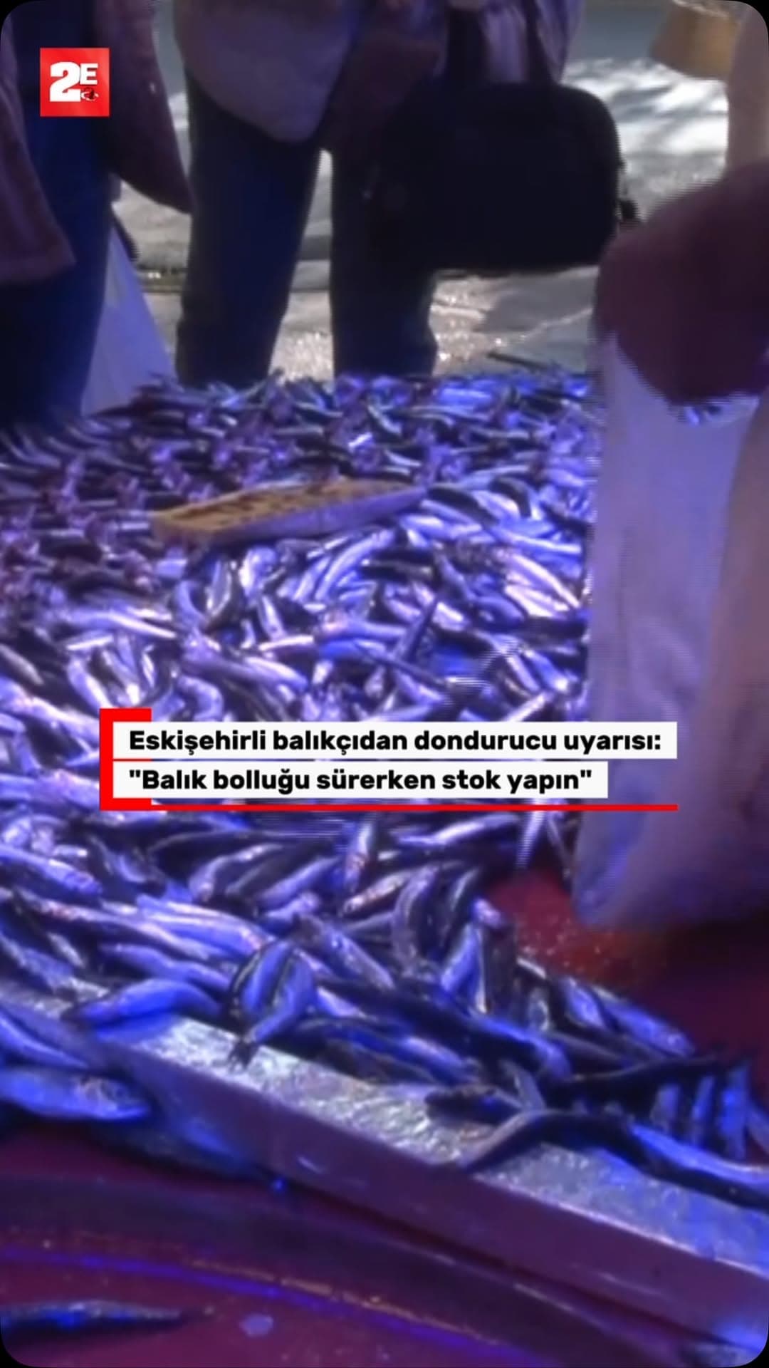 Eskişehir’de uzun yıllardır balıkçılık yapan Erkan Arslanbenzer, hamsi ve palamut bolluğunun 40-45 g