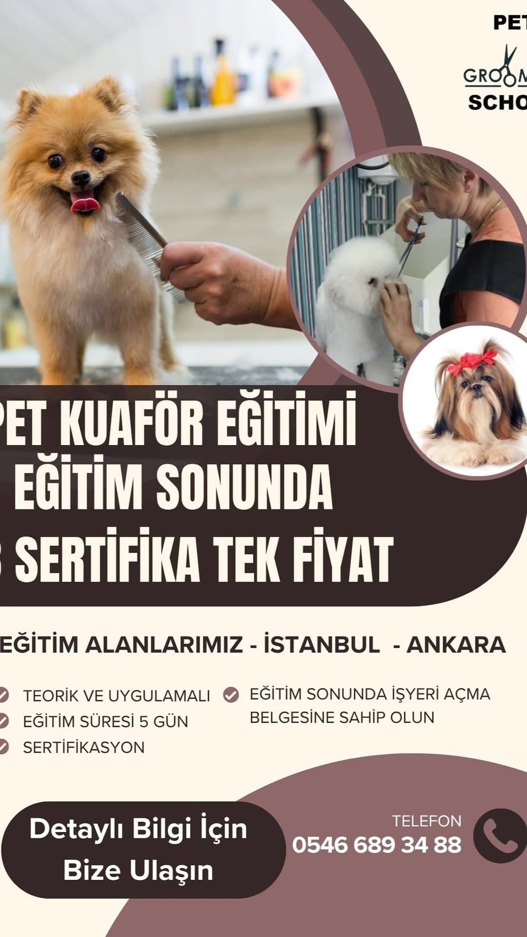 Pet Kuaför Eğitimi için bize ulaşabilirsiniz.
✂️ Minik dostlarımızın güzellik zamanı! 💅🐶🐱
Tıraş