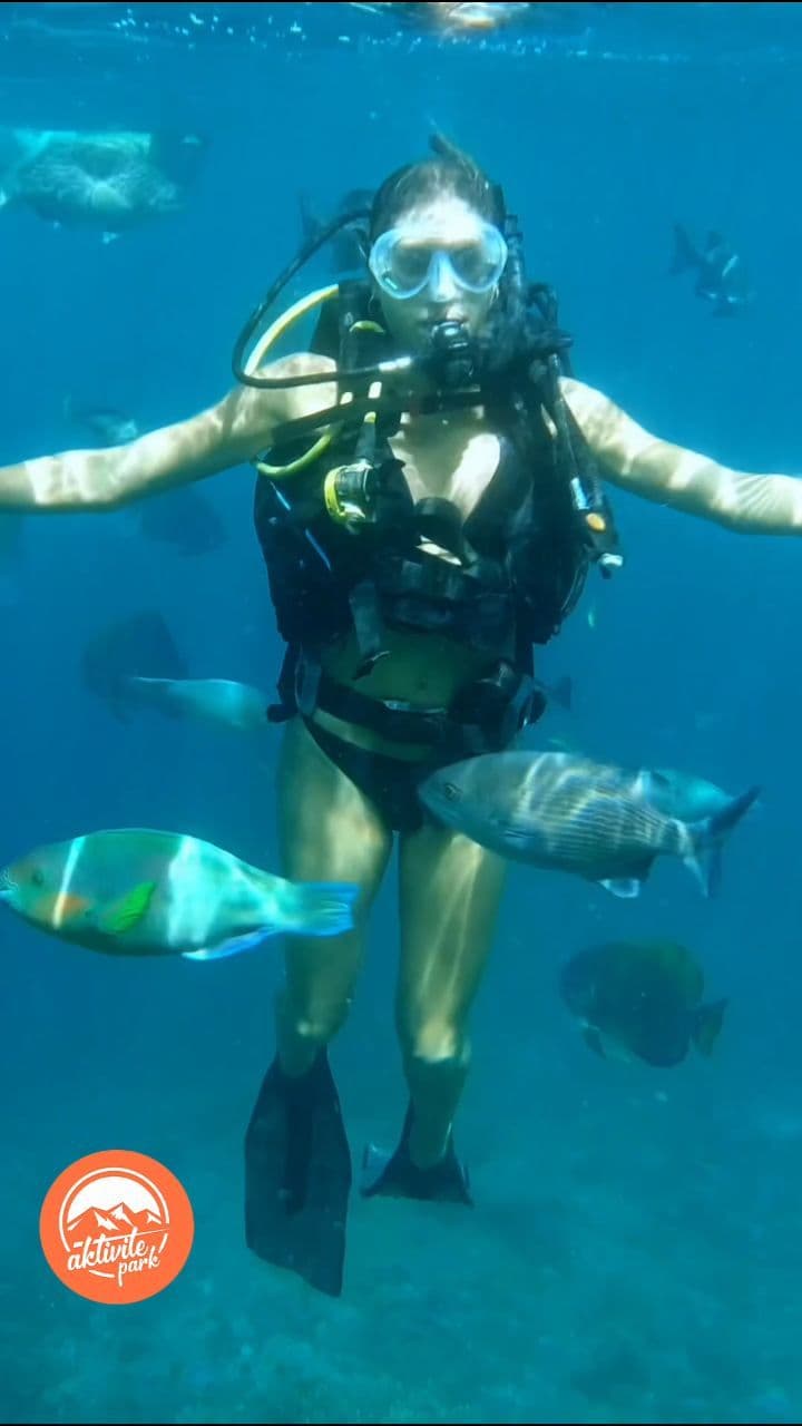 Aktivite Park'ta mavi derinliklerin büyüsünü keşfetmeye ne dersiniz? 🌊 Türkiye'nin dört bir yanında