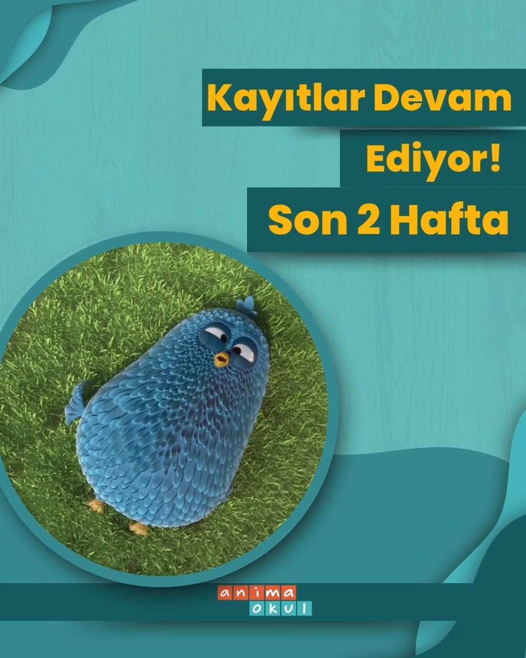 Anima Okul — Fotoğraf 3