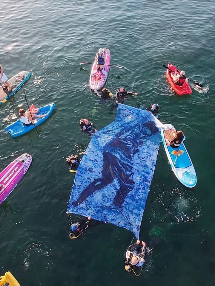 Ansal Windsurf & SUP — Sörf & SUP — Tuzla