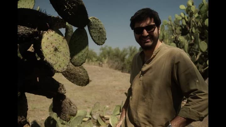 Last march I explored the Oaxacan coasts. Surfed in La Punta, swam in the lagunas of Chacahua witnes