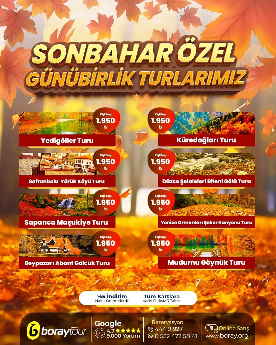 Ankara’dan Sonbahara Özel Günübirlik Turlarımızda Doğanın ve Sarı Yaprakların Büyüsünü Bizimle Keşfe