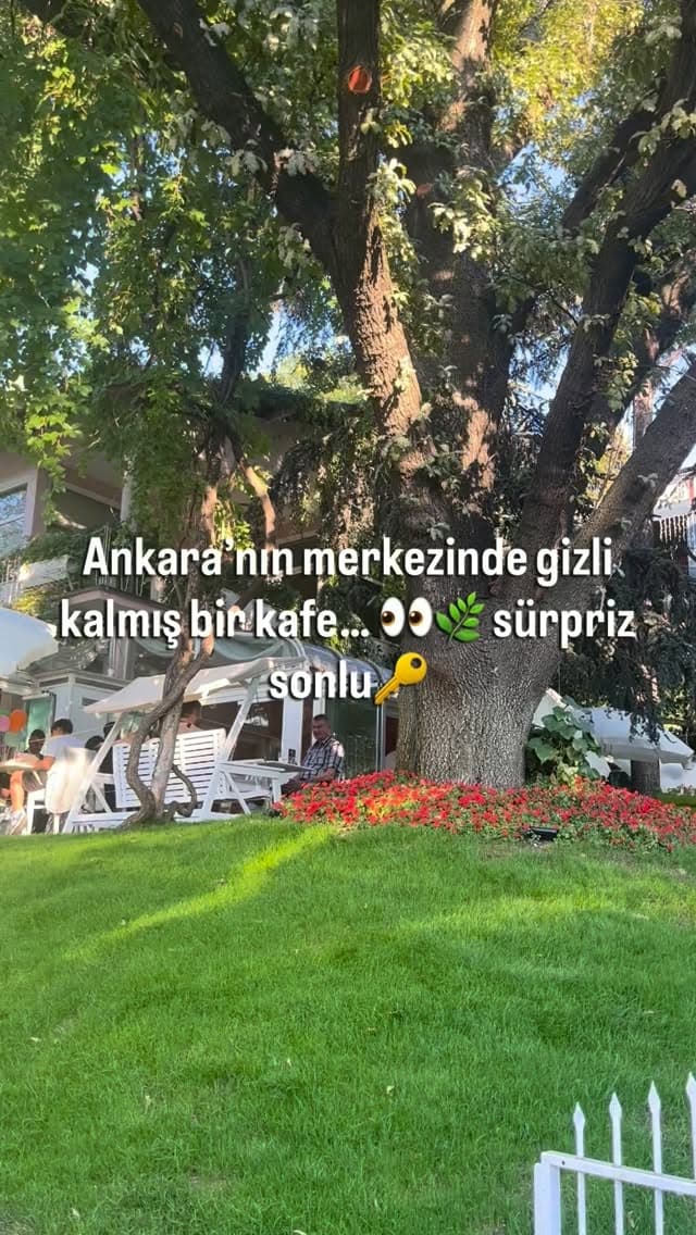 📍 Ankara’nın merkezinde gizli kalmış bu kafeyi keşfettik. 🌿☕
Yemeklerini ve tatlılarını denedik,