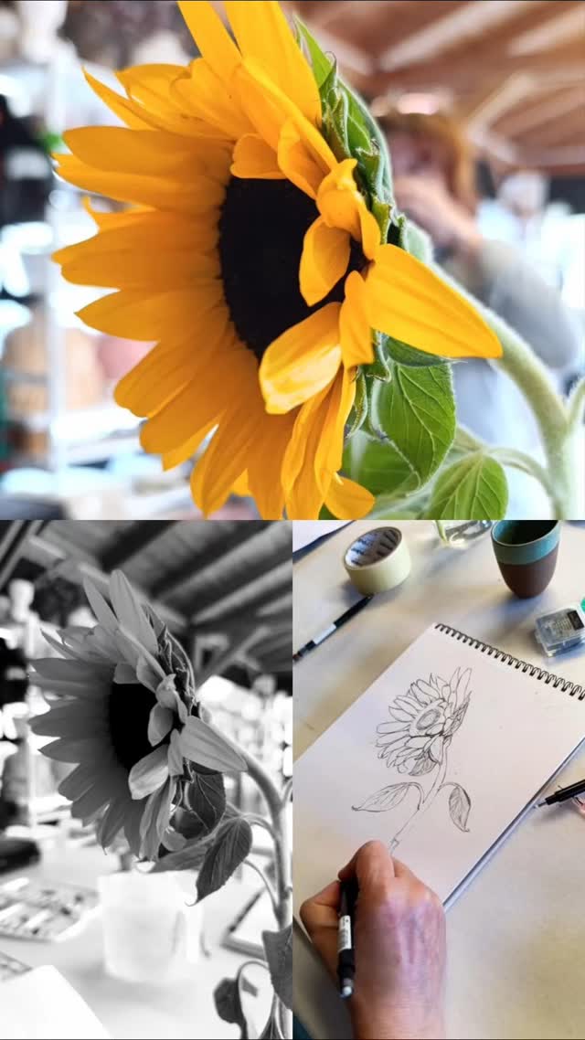 Pazartesi derslerimiz başladı, katılmak isterseniz lütfen mesaj atın 🌻
