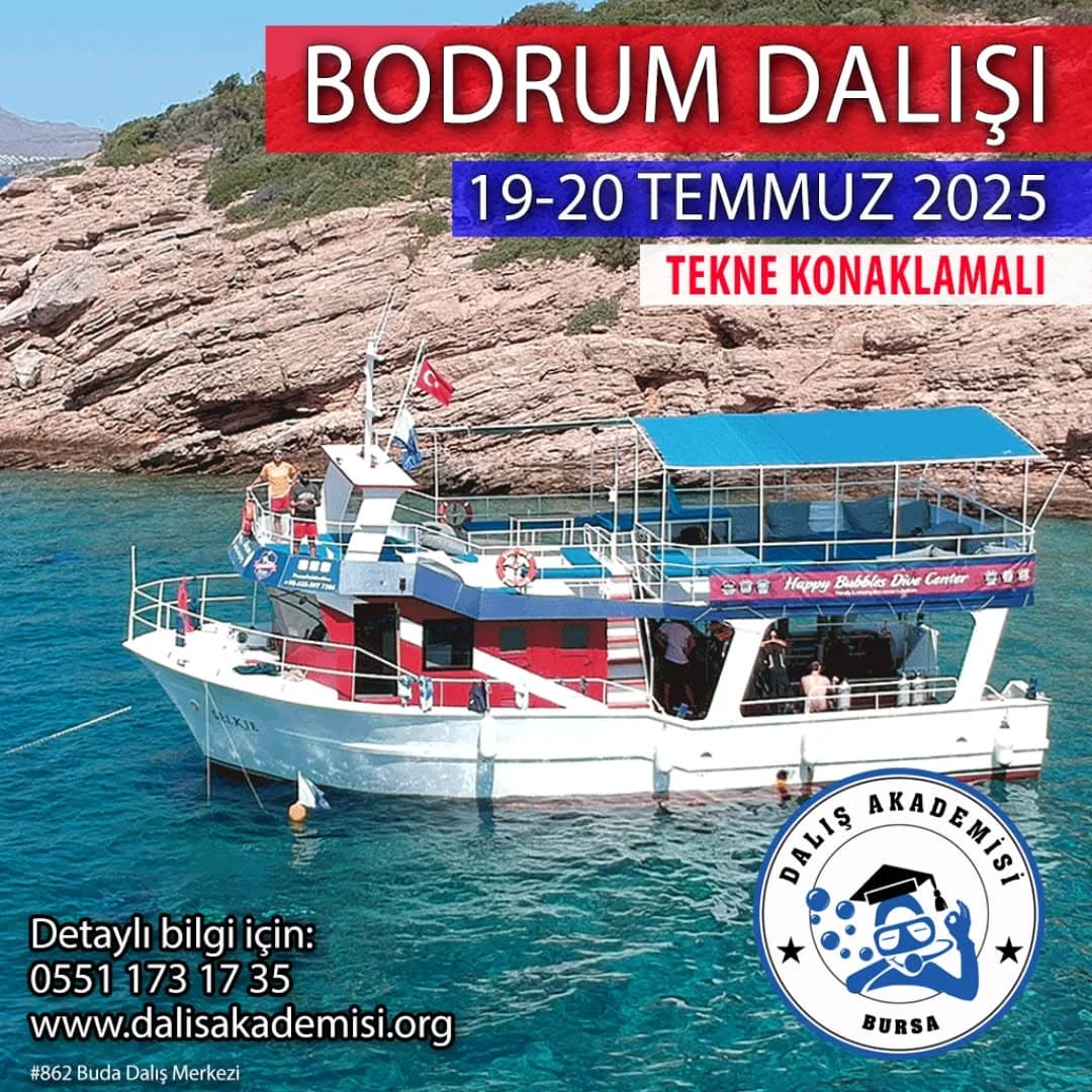 Karaburun Dalış Noktaları — Fotoğraf 5
