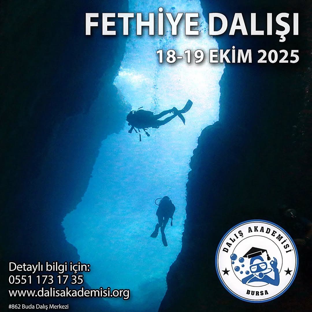 Karaburun Dalış Noktaları — Fotoğraf 3