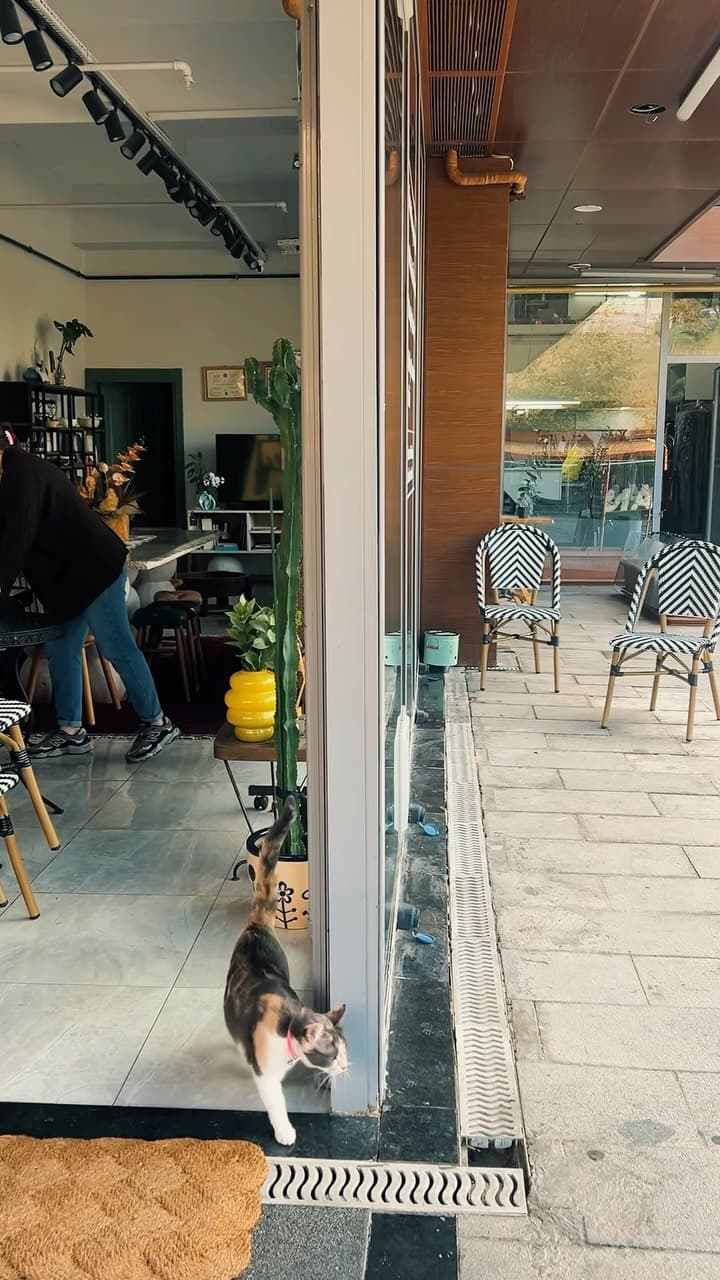 “Kendi işini yapıyorsun, ne zaman istersen açarsın” diyenlere küçük bir mini vlog bıraktım buraya! �