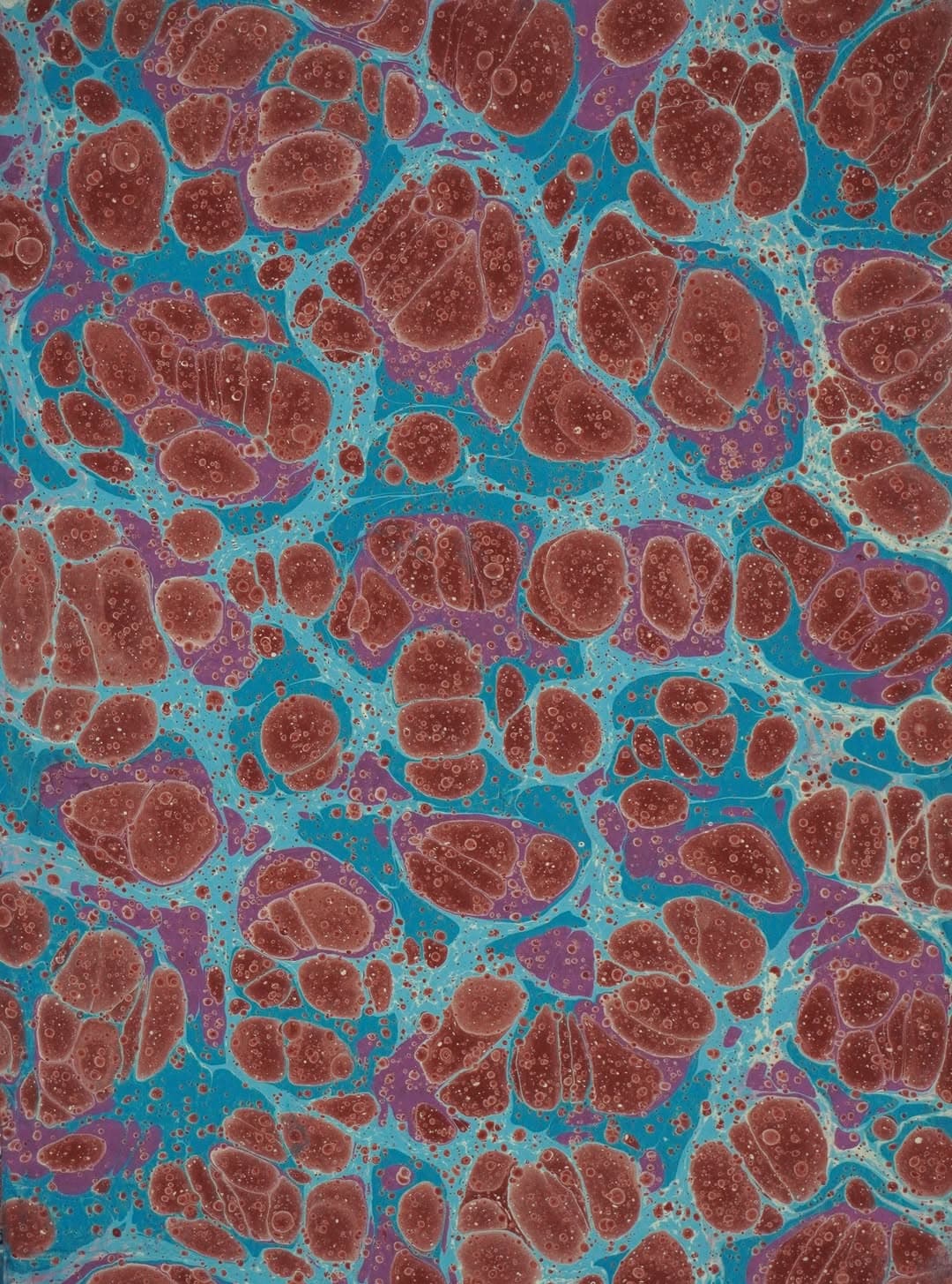 Neftli Battal Ebru (Edhem Efendi Battalı)
35 x 50 cm, 70 g, Chamois Paper
Marbling on CMC-thickened