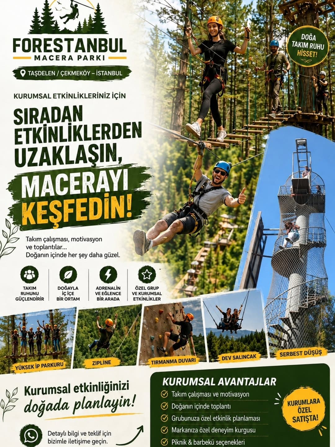 Forestanbul — Fotoğraf 6