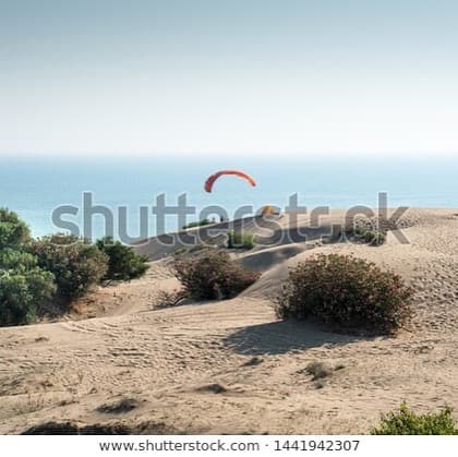 Patara arsivimiz, #shutterstock hesabimizda📸 #3