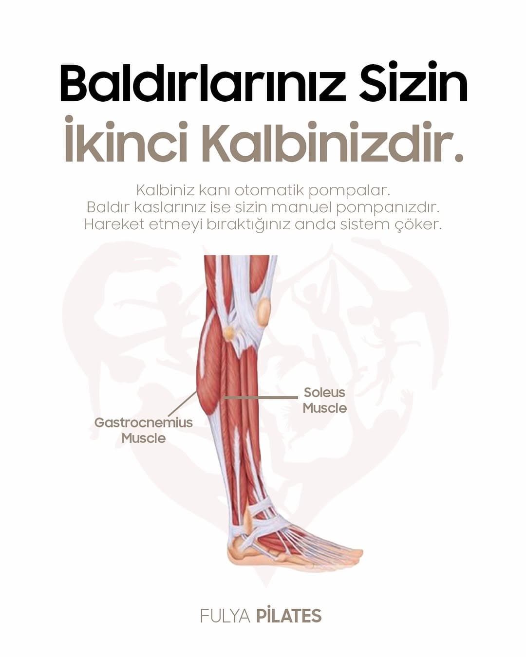 Fulya Pilates Studio — Fotoğraf 5