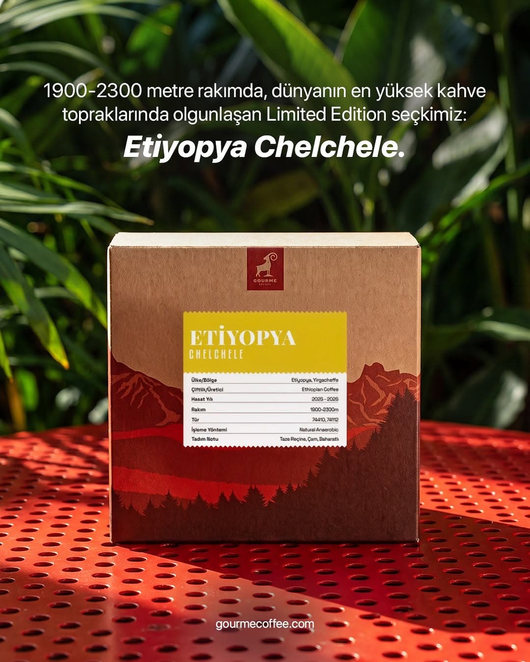 Etiyopya Chelchele — Limited Edition
Dünyanın en yüksek kahve topraklarından biri: Yirgacheffe, 190