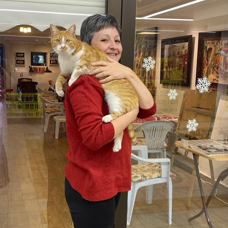 Çarşımızın kedisi Sultan 🐱