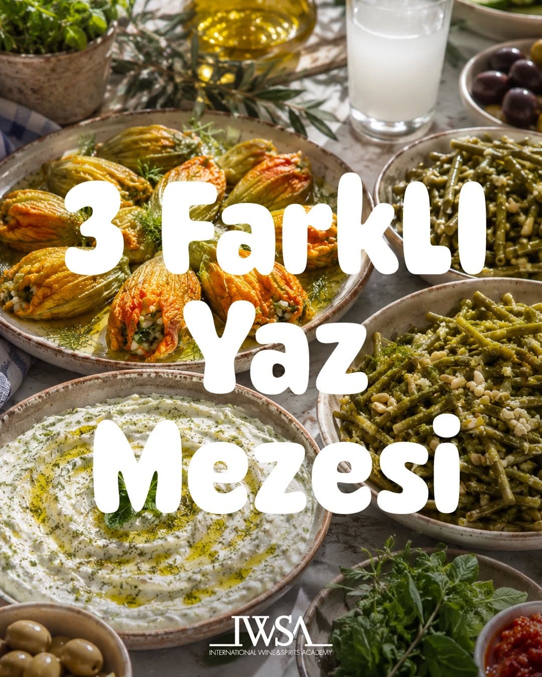 IWSA - WSET Şarap Yeterlilik Programı — Fotoğraf 5