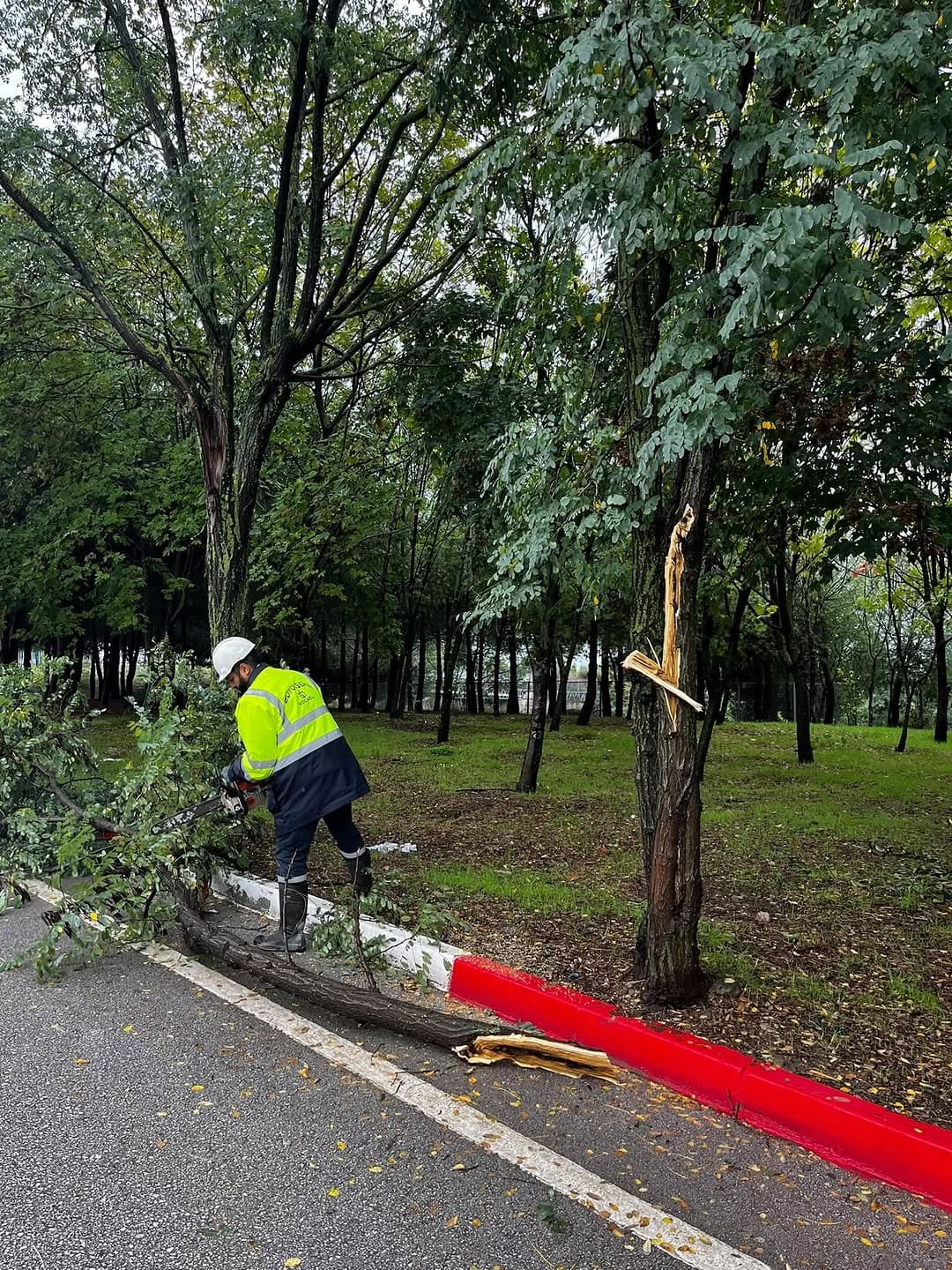Şehrimiz genelinde yağışın etkilerine karşı çalışmalarımız sürüyor. Park ve Bahçeler ekiplerimiz yol