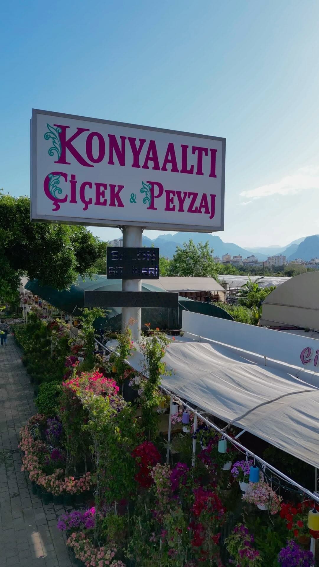 Armut Teraryum Antalya — Fotoğraf 2