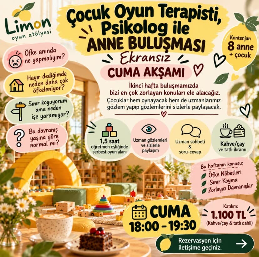 Limon Oyun Atölyesi — Fotoğraf 3