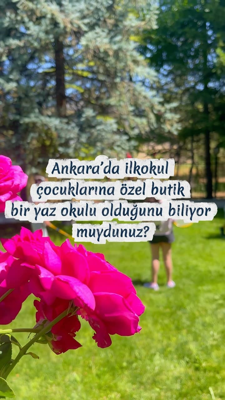 🏖️Vee beklenen 2026 yaz okulu programı belli oldu💓
Her yıl düzenlediğimiz ve ilgiyle beklenen Sana