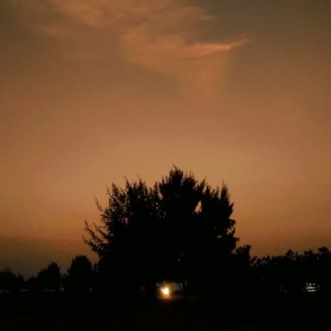 🌅