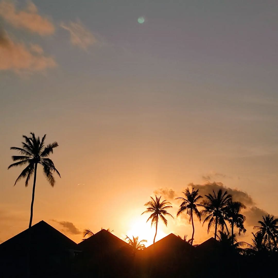 #Sunset 🌅