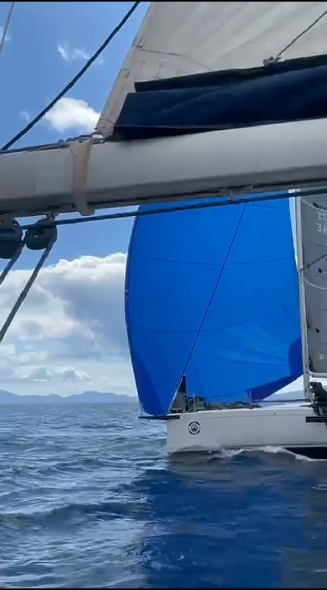 Navita Sailing — Fotoğraf 4