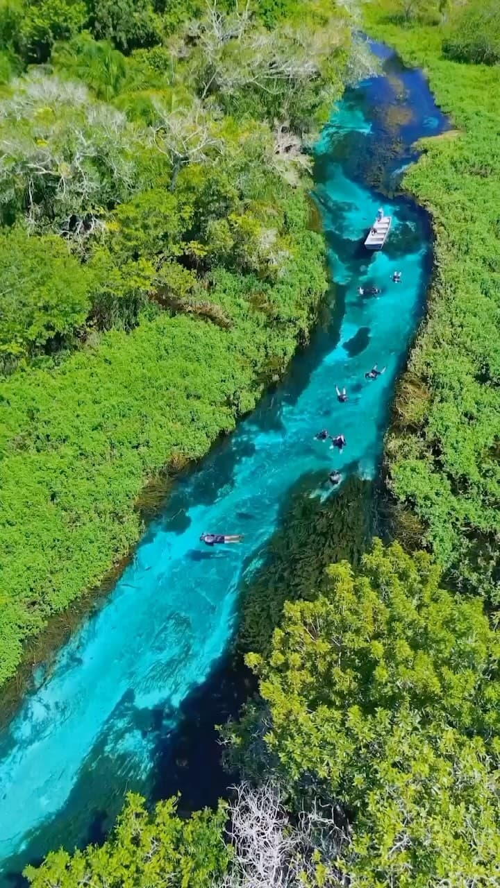 Dünyanın en berrak nehri ile haftayı kapatalım 💙
Doğal güzellikleriyle ünlü Brezilya’da bulunan Rio