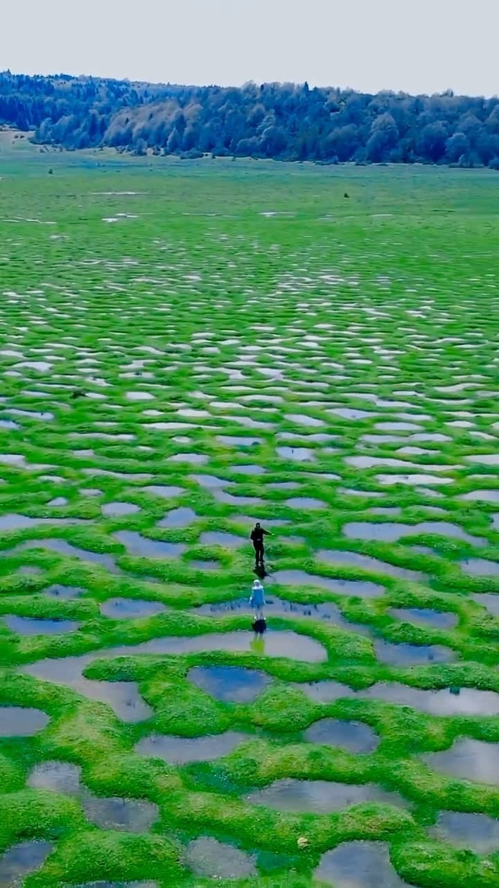 📍Karagöl Yaylası, Taraklı/Sakarya
1100 metre rakıma sahip yaylada, kar sularının eriyip çukurlara