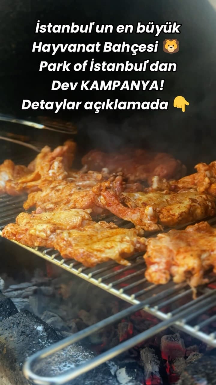 🔥 İstanbul’un en büyük hayvanat bahçesi Park Of İstanbul’da sevdiklerinizle birlikte keyifli bir ma