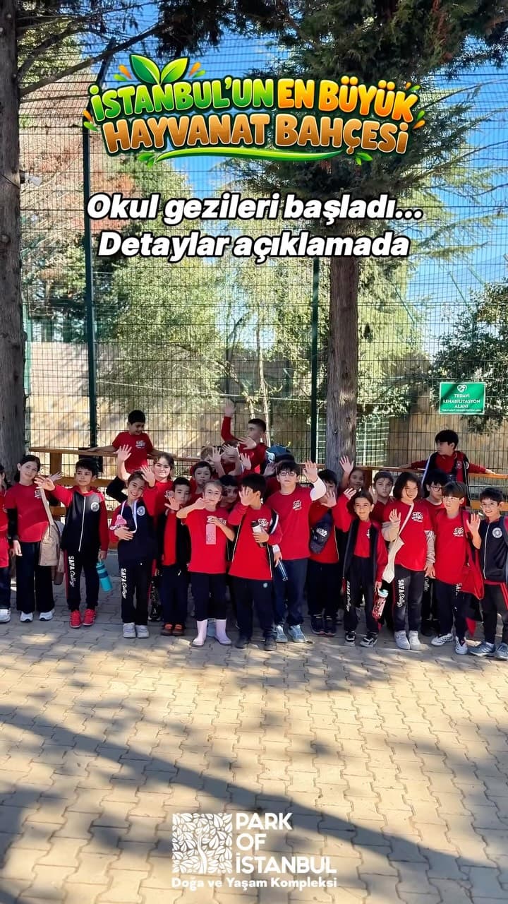 🦁🎒 İstanbul’un en büyük hayvanat bahçesinde okul gezileri başladı! 🌿🐒
📚 Eğitim, eğlence ve doğ