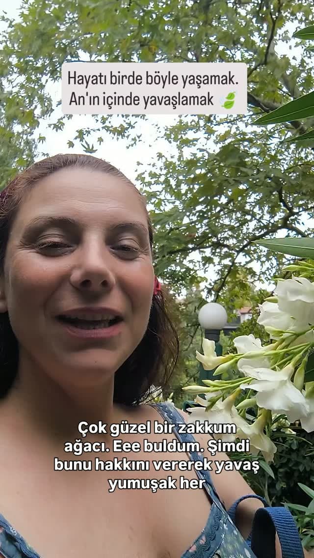 Repiyo