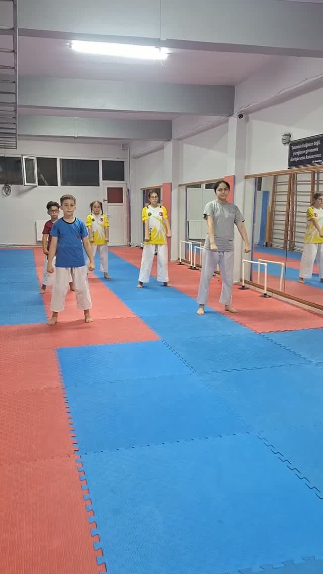 Demirbaş Spor Kulübü — Boks & Dövüş — Gaziosmanpaşa
