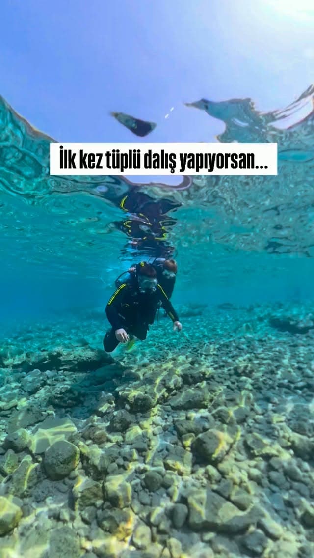Turkuaz Dive Center — Fotoğraf 5