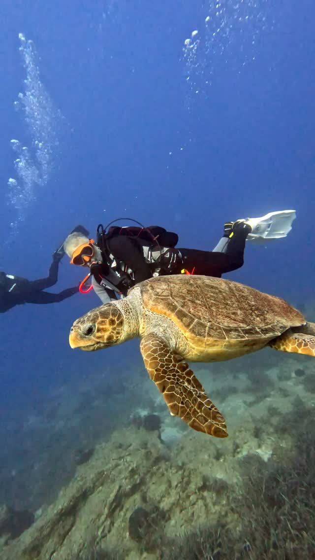 Turkuaz Dive Center