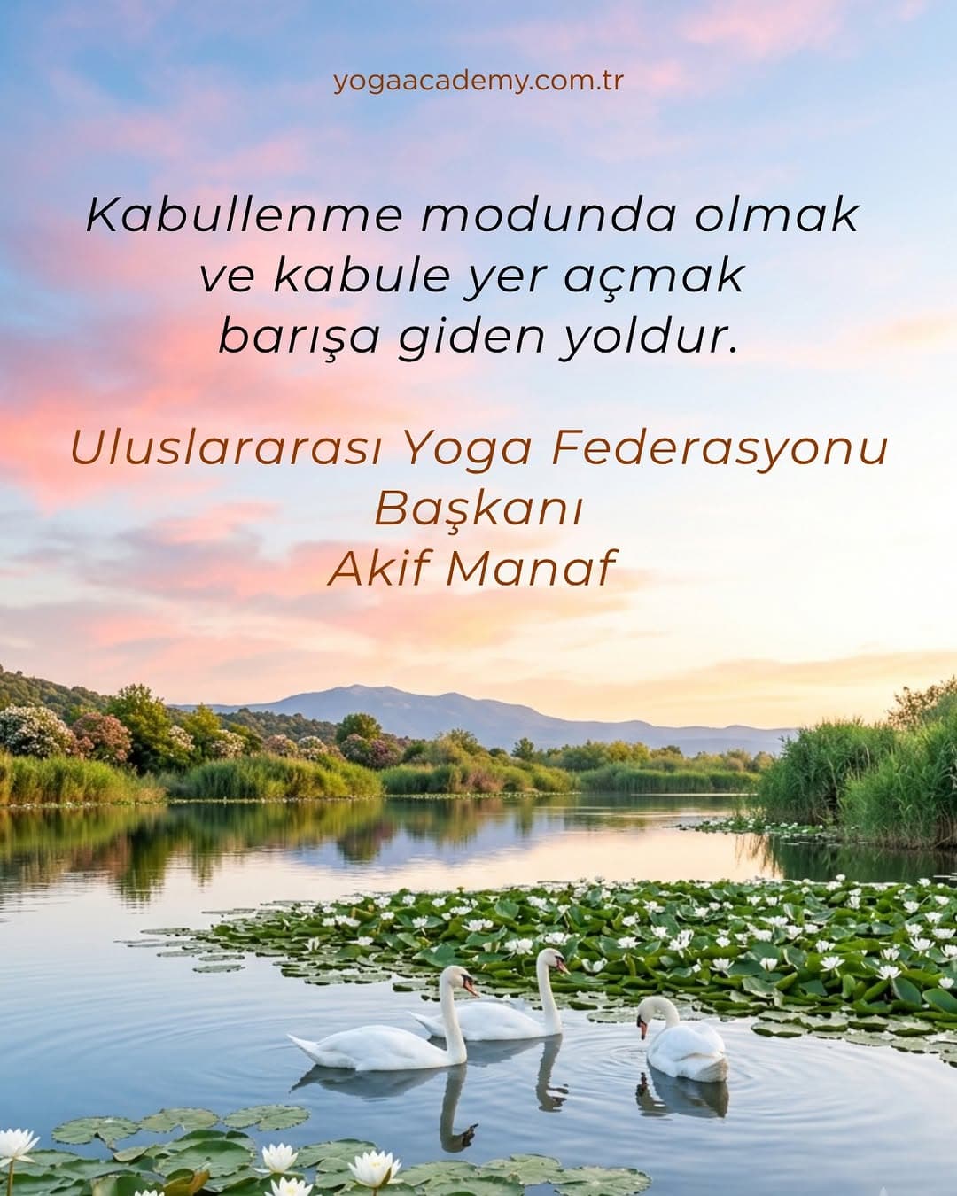 Yoga Academy — Fotoğraf 4